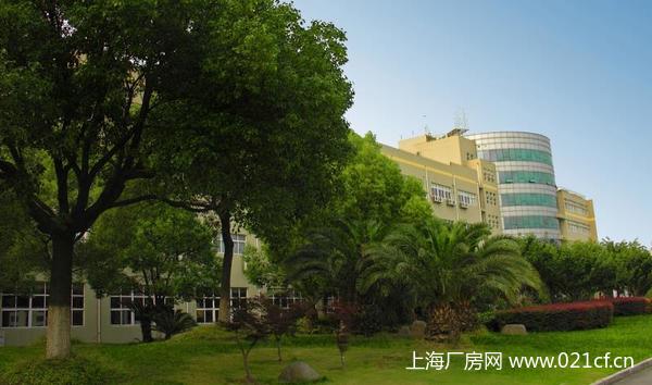 A8301 上海市奉賢區(qū)環(huán)城北路二樓 700平米廠房倉(cāng)庫(kù)辦公研發(fā)樓出租
