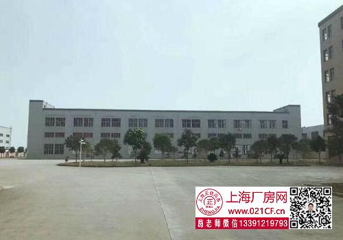 G1731 奉賢 南橋奉浦工業(yè)園開發(fā)區(qū)新出1100平標(biāo)準(zhǔn)廠房倉庫出租