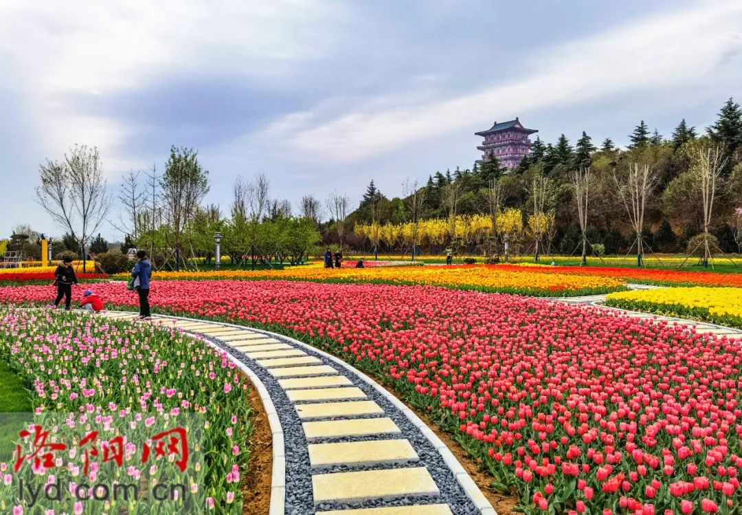 洛陽蕞新規(guī)劃出爐！涉及老城、洛龍、伊濱…