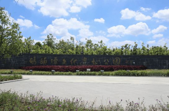 盛夏來(lái)襲 中南熙悅近享“園”味風(fēng)景