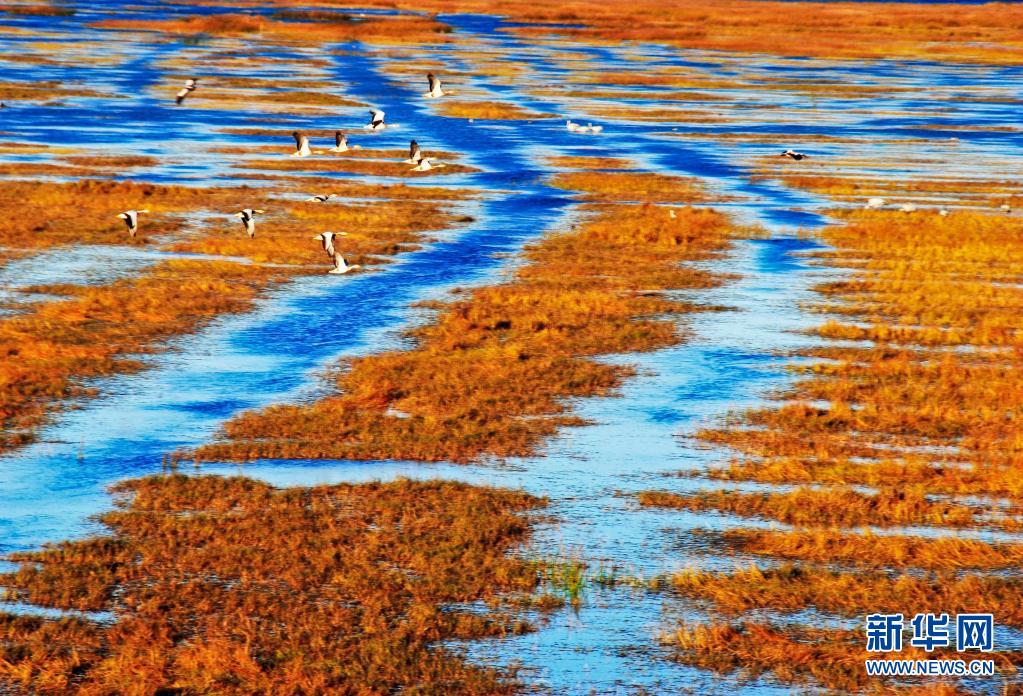 “七一”重要講話精神在基層｜黔貴大地上演“綠色逆襲”——來自國(guó)家生態(tài)文明試驗(yàn)區(qū)（貴州）的調(diào)查報(bào)告