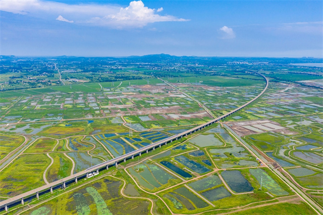 讓巢湖成為合肥蕞好的名片！肥東這樣幹