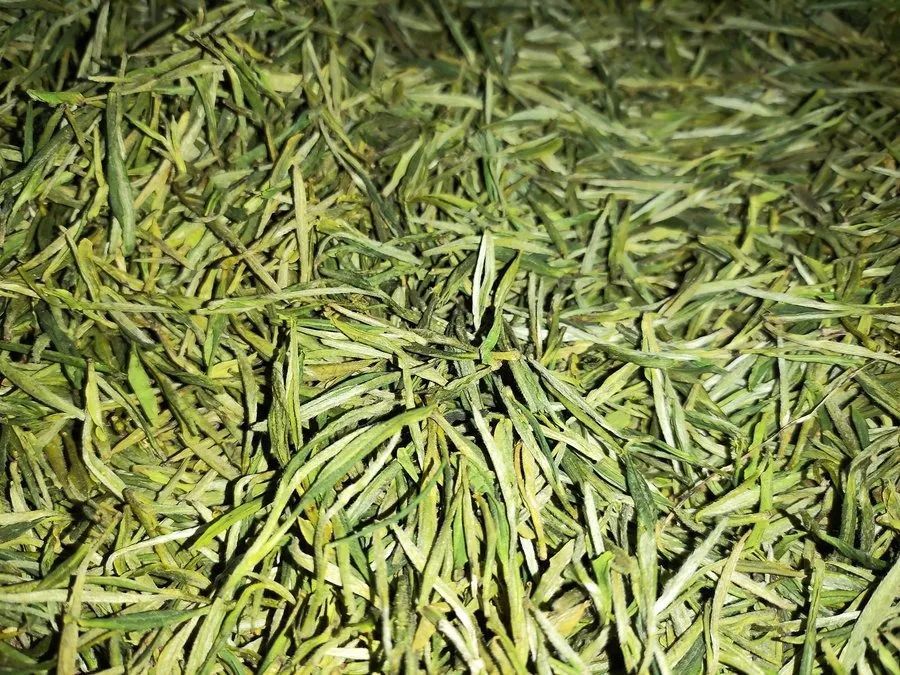 請(qǐng)你喝茶，看美景！帶你走進(jìn)【葛毅明家的茶園】