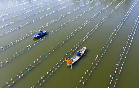 新華網(wǎng)安徽頻道